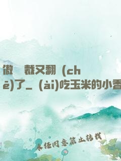 傲嬌總裁又翻車(chē)了