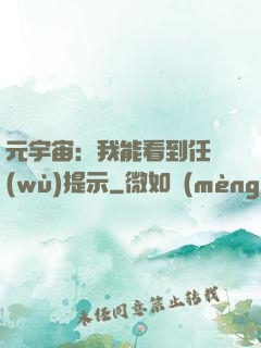 元宇宙：我能看到任務(wù)提示