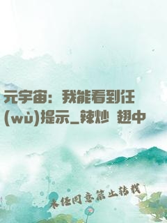 元宇宙：我能看到任務(wù)提示
