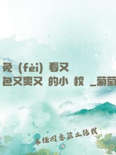免費(fèi)觀看又色又爽又黃的小說校園