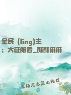 全民領(lǐng)主：大征服者
