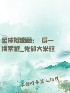 全球捉迷藏：開局一個搜索框
