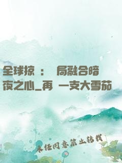 全球掠奪：開局融合暗夜之心