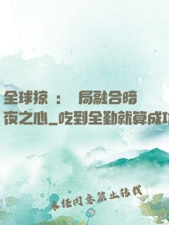 全球掠奪：開局融合暗夜之心