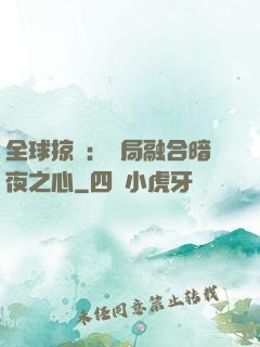 全球掠奪：開局融合暗夜之心
