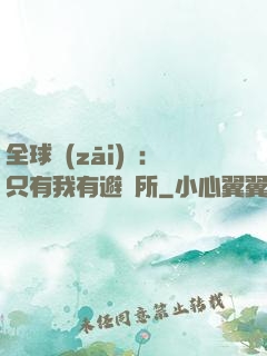 全球災(zāi)變：只有我有避難所