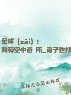 全球災(zāi)難：我有空中避難所