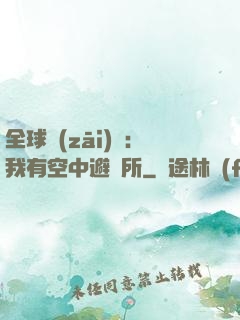 全球災(zāi)難：我有空中避難所