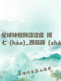 全球神祗我信徒是魯班七號(hào)