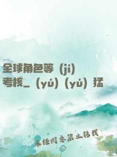 全球角色等級(jí)考核