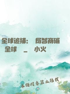 全球追捕：開局智商碾壓全球觀眾