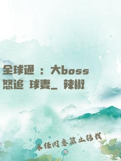 全球通緝：大boss怒追帶球妻