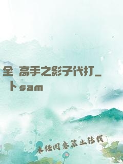 全職高手之影子代打