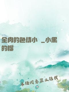全肉的色情小說