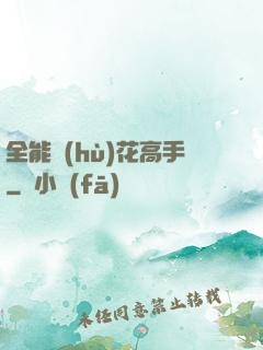 全能護(hù)花高手