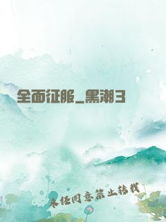 全面征服