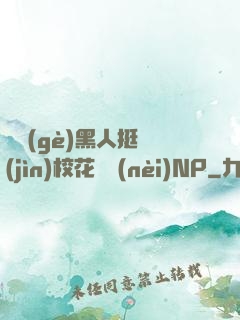 兩個(gè)黑人挺進(jìn)?；w內(nèi)NP