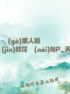 兩個(gè)黑人挺進(jìn)?；w內(nèi)NP