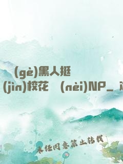 兩個(gè)黑人挺進(jìn)?；w內(nèi)NP