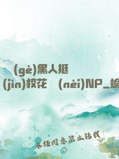 兩個(gè)黑人挺進(jìn)?；w內(nèi)NP
