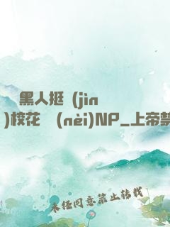 兩個黑人挺進(jìn)?；w內(nèi)NP