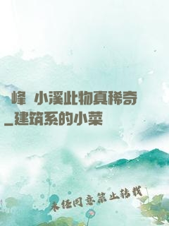 兩峰夾小溪此物真稀奇