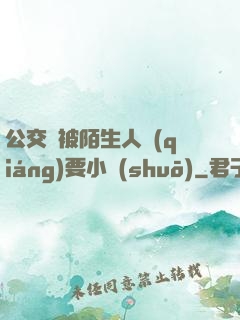 公交車被陌生人強(qiáng)要小說(shuō)