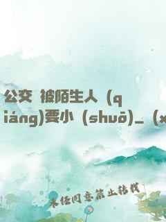 公交車被陌生人強(qiáng)要小說(shuō)