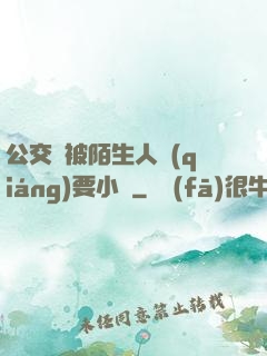 公交車被陌生人強(qiáng)要小說