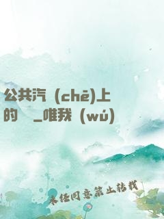 公共汽車(chē)上的輪桿