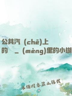 公共汽車(chē)上的輪桿