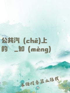 公共汽車(chē)上的輪桿