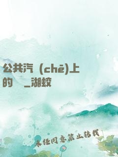 公共汽車(chē)上的輪桿