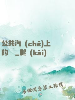 公共汽車(chē)上的輪桿