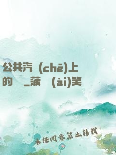 公共汽車(chē)上的輪桿