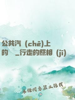 公共汽車(chē)上的輪桿