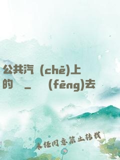 公共汽車(chē)上的輪桿