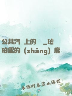 公共汽車上的輪桿