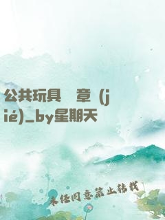 公共玩具閱讀章節(jié)