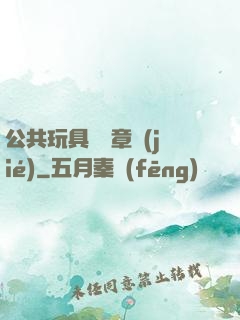 公共玩具閱讀章節(jié)