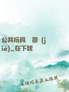 公共玩具閱讀章節(jié)