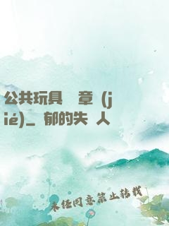 公共玩具閱讀章節(jié)