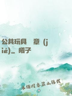 公共玩具閱讀章節(jié)