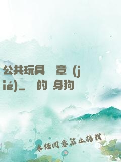 公共玩具閱讀章節(jié)