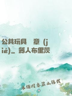 公共玩具閱讀章節(jié)