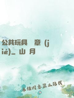 公共玩具閱讀章節(jié)