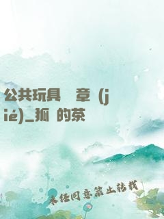 公共玩具閱讀章節(jié)