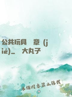 公共玩具閱讀章節(jié)