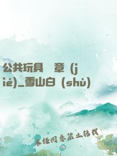 公共玩具閱讀章節(jié)