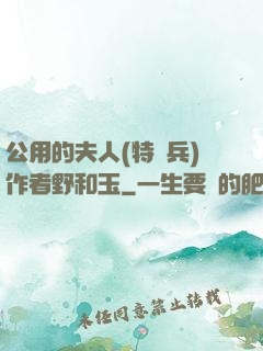 公用的夫人(特種兵)作者野和玉